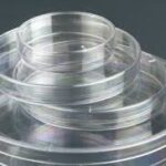 BOITE DE PETRI EN VERRE BORO DIAM INT 70 MM